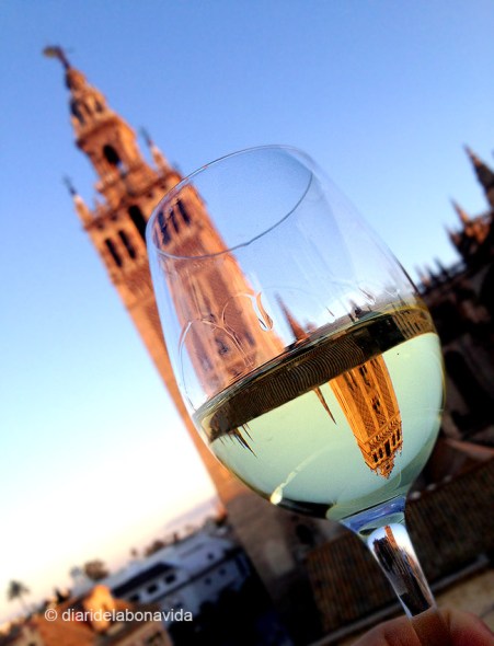 Prenent una copa de vi des de la terrassa de davant la Catedral