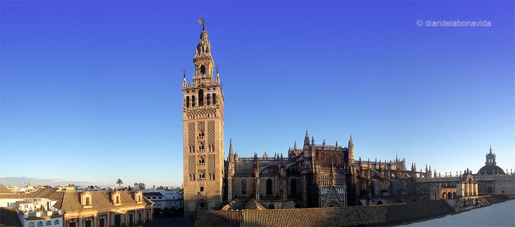 sevilla_catedral_19