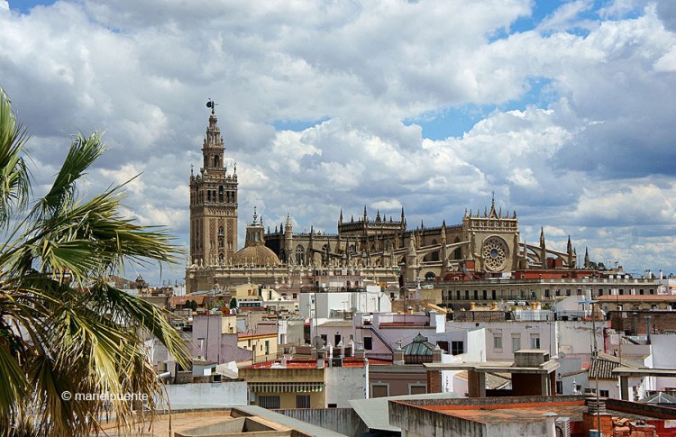 sevilla_catedral_vistes