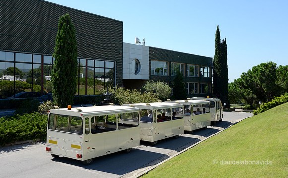 El trenet ajuda a fer el recorregut