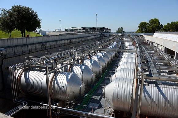 Uns enormes recipients ajuden a la primera fermentació del most