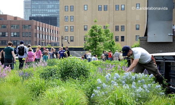 Els jardiners i voluntaris del Parc cuiden i mimem les moltes varietats de plantes que podem trobar