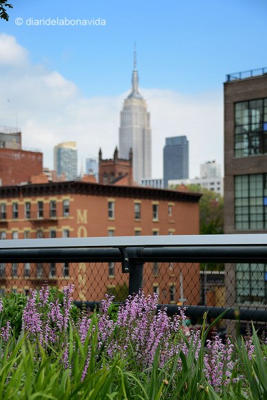 Podem tenir una perspectiva diferent de l'Empire state Building