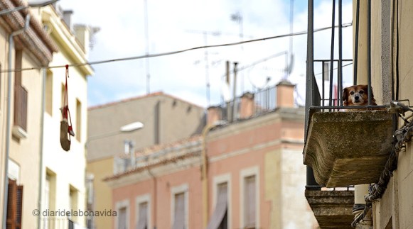 vilafranca_espardenyes_11