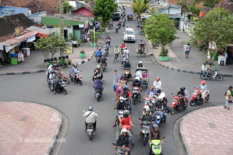 Ah! I sobretot s'ha de vigilar molt al creuar, no respecten res!