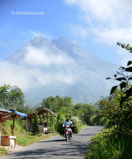indonesia_merapi