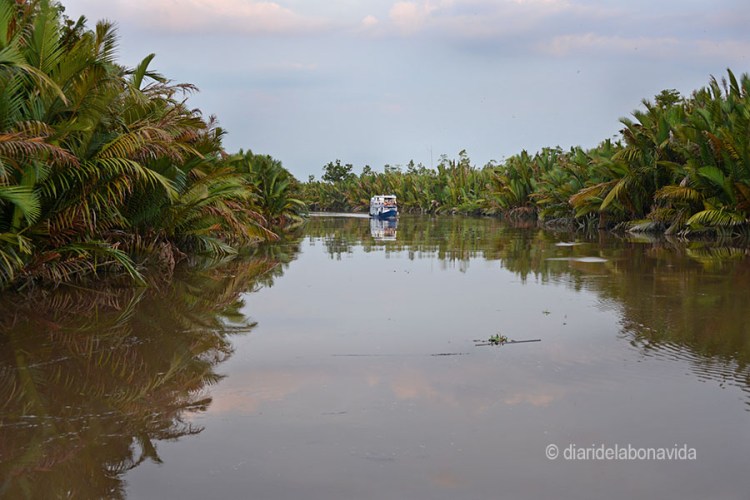 Navegant pel riu Seykonyer, a Borneo
