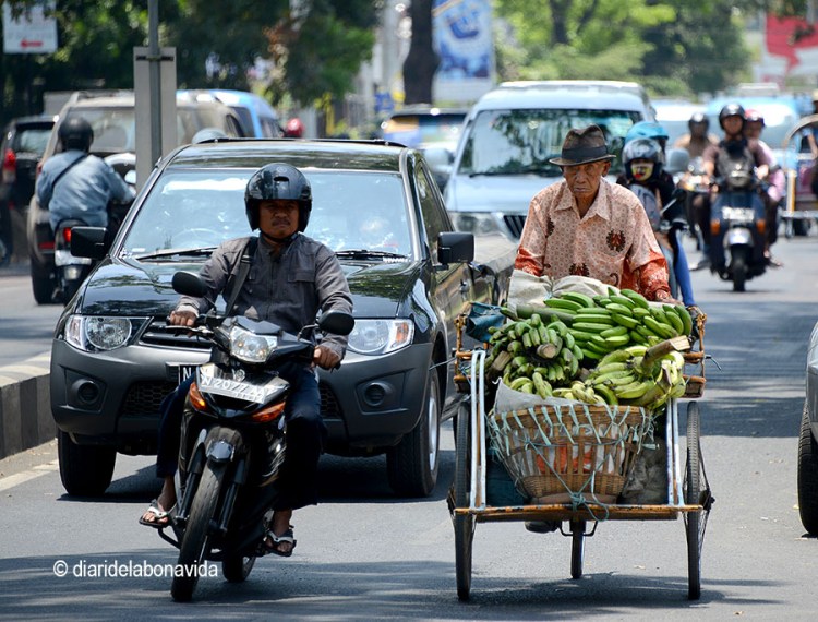 Les vies principals de la ciutat són plenes de tot tipus de vehicles