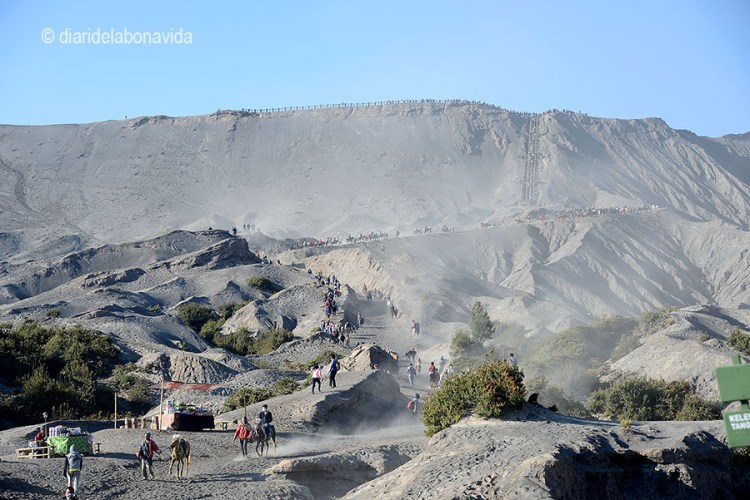 La gentada és considerable. Però no podem fer res