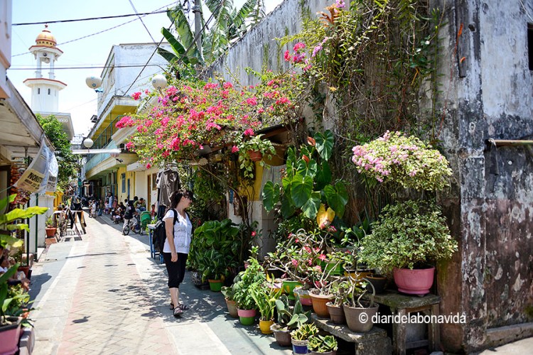 indonesia_malang houses