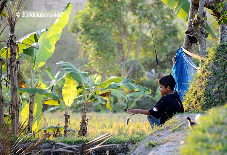 Un nen pescant en una petita bassa