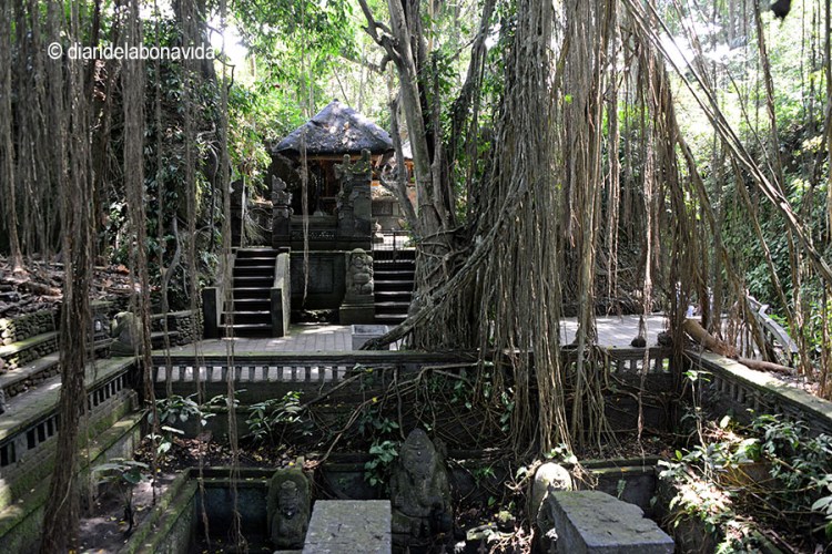 Semblen escenaris de la peli Lara Croft