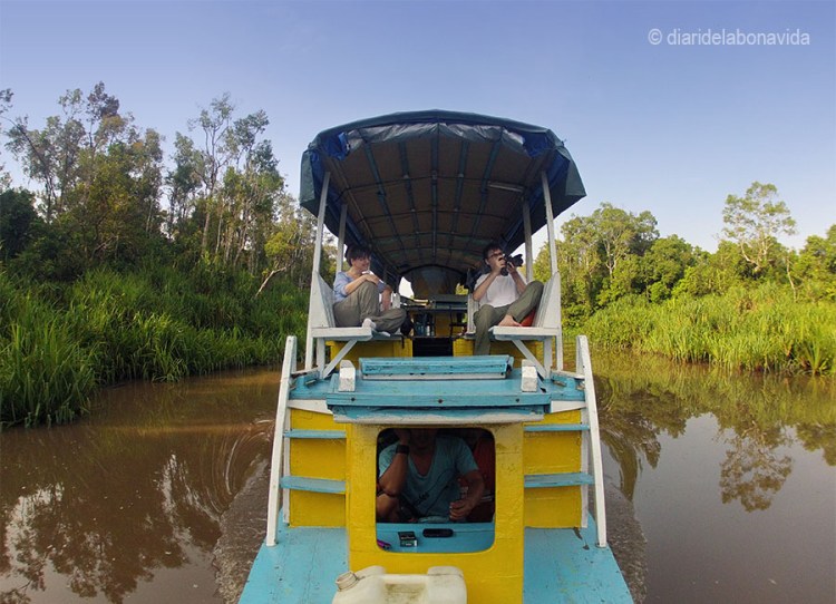 Les mides del vaixell permeten una gran llibertat de moviments