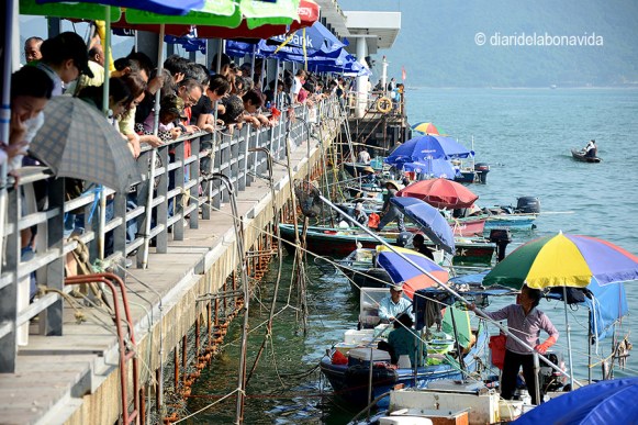 Al poble de Sai Kung trobem el mercat flotant del peix