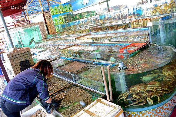 Per dinar, res tan fàcil com triar el producte viu que volem menjar