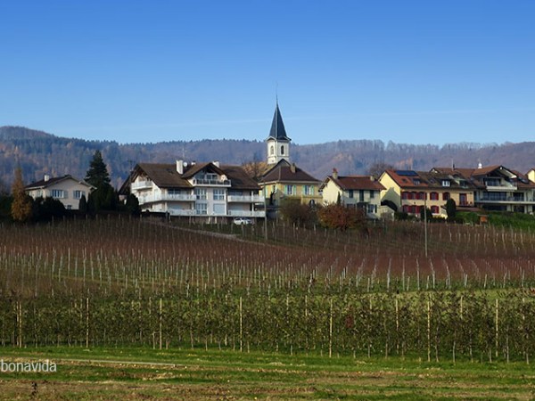 Escapada a Lió i Ginebra -França i&nbsp;Suïssa-