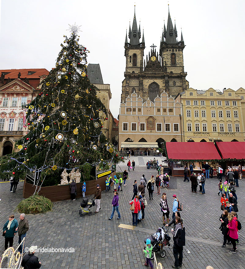 Plaça de la Ciutat Vella