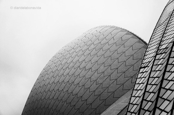 Sostre de l' Opera House. Sydney