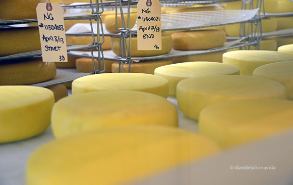 El formatge és l'especialitat de l'Upper Cheese Company