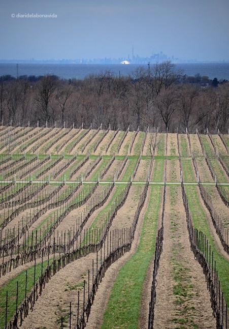 La ciutat de Toronto (al fons) és troba a només una hora de la zona de Niàgara Escarpment.