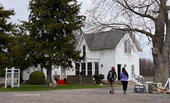 Ens apropem al celler de Sue-Ann Winery