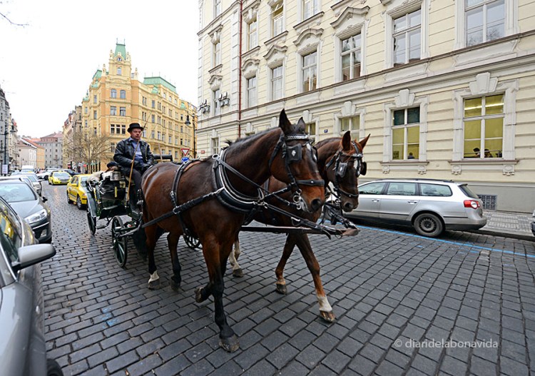 praga coche caballos