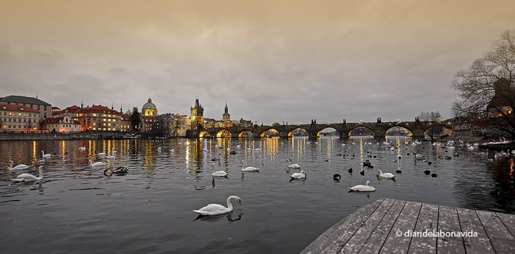 El riu Moldava travessa la ciutat