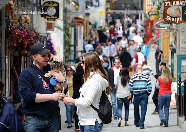 canada canada rue petit champlain quebec 2