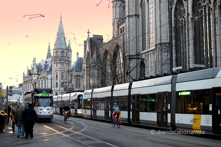 BELGICA_0473_DBV