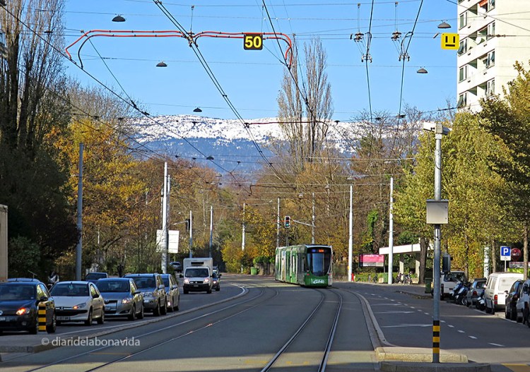 Impressiona veure els Alps des de qualsevol punt de la ciutat