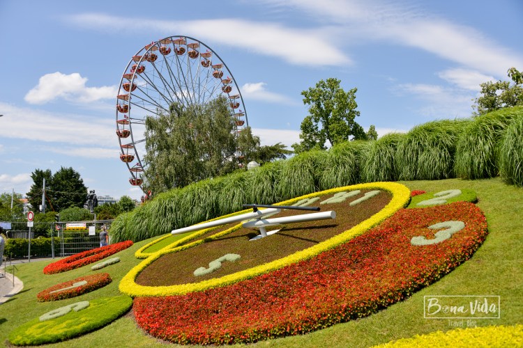 suissa geneve rellotge