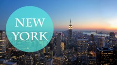 iconos ciudades newyork cat