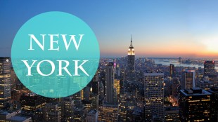 iconos ciudades newyork cat