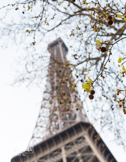 paris eiffel-6