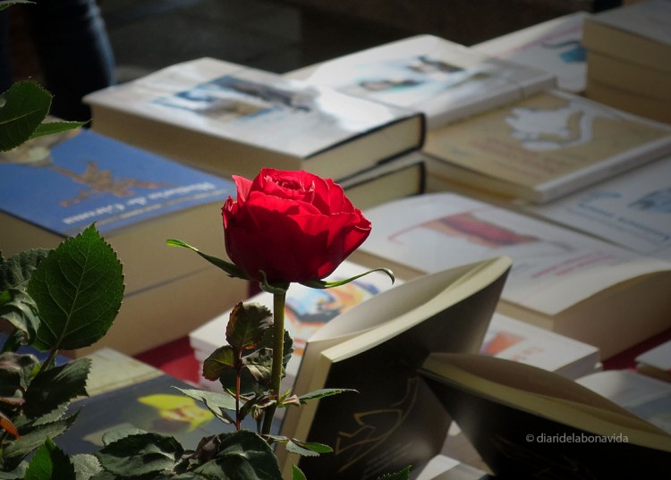 santjordi_2014_rosa 02