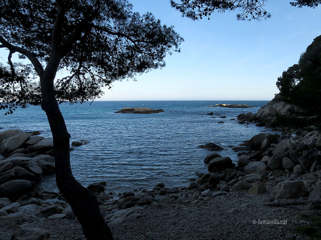 Cala del Racó dels Homes, a Sant Antoni de Calonge