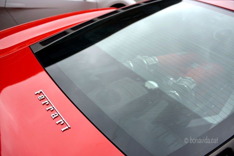 El cor de la "Macchina" al descobert