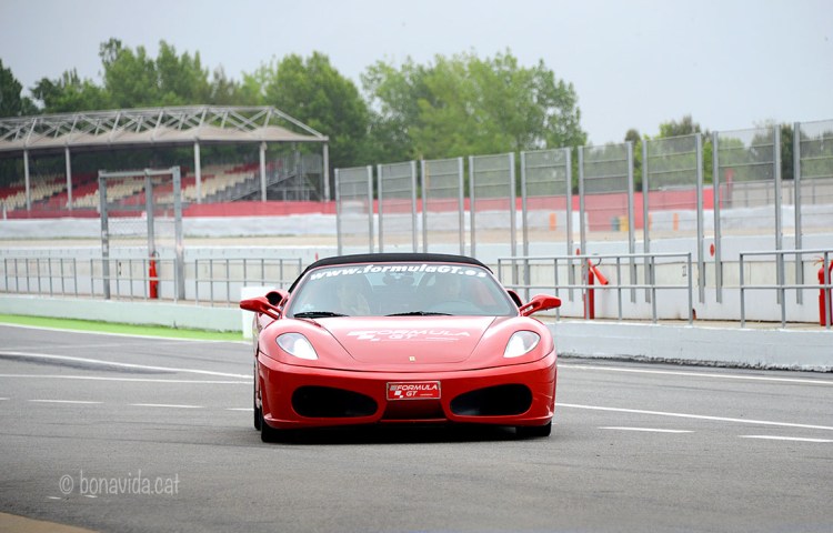 ferrari_82