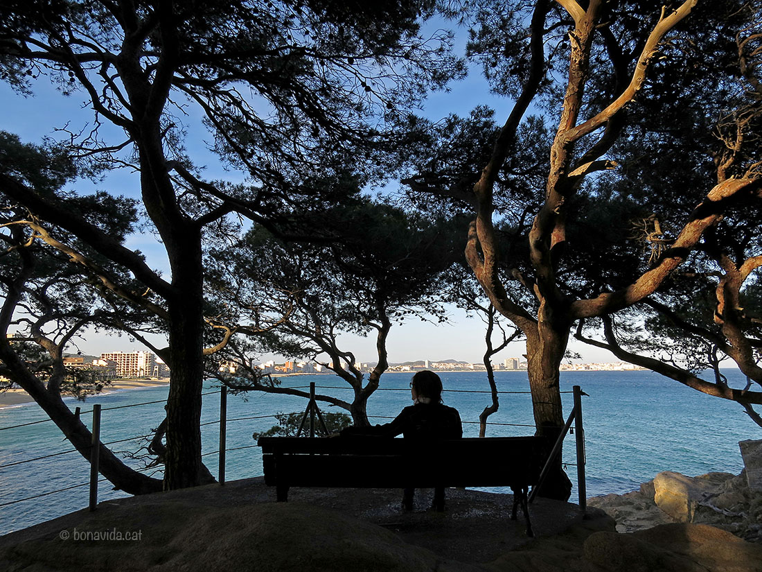 palamos cris mirador calonge