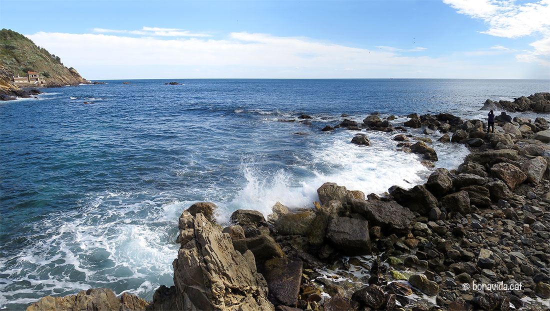 Platja del Morro del Vedell. Palamós