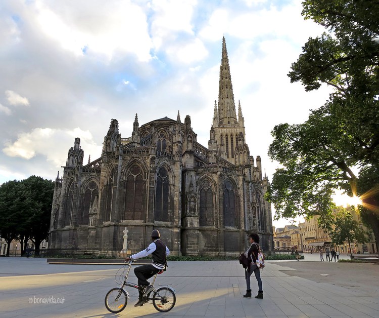 Cathédrale de St. André