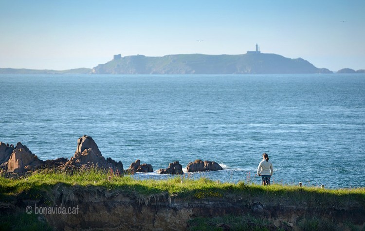 Gaudim del paisatge!