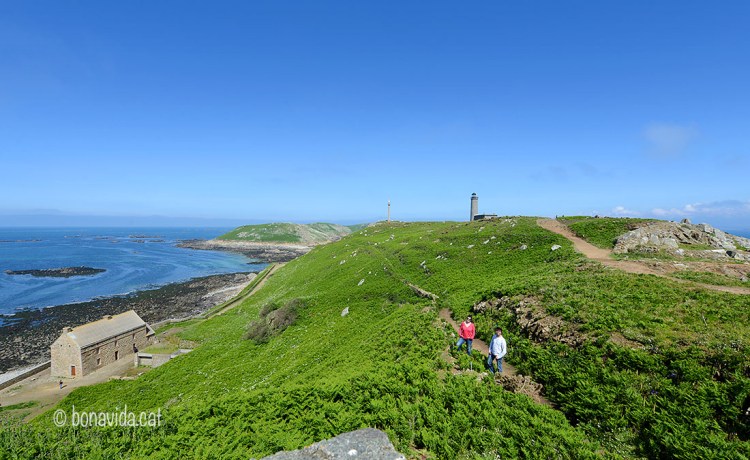 Som els reis de l'illa!!!