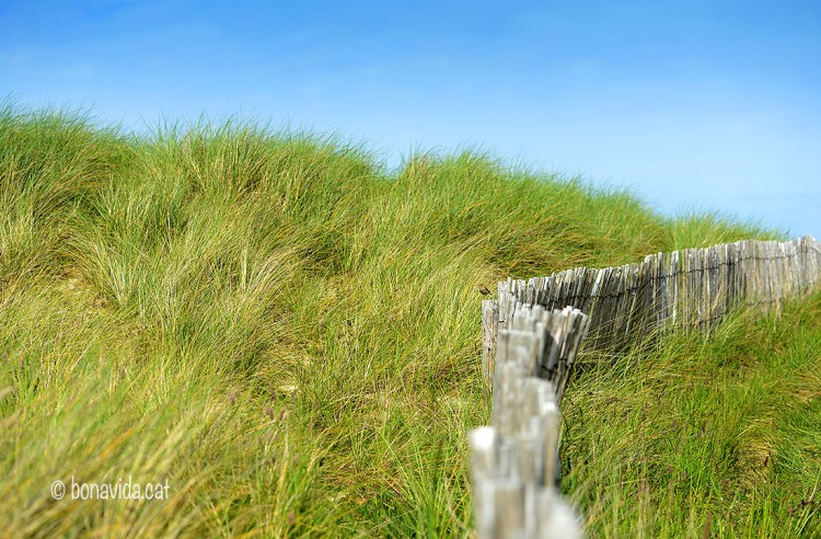 El dia està sent espectacular!