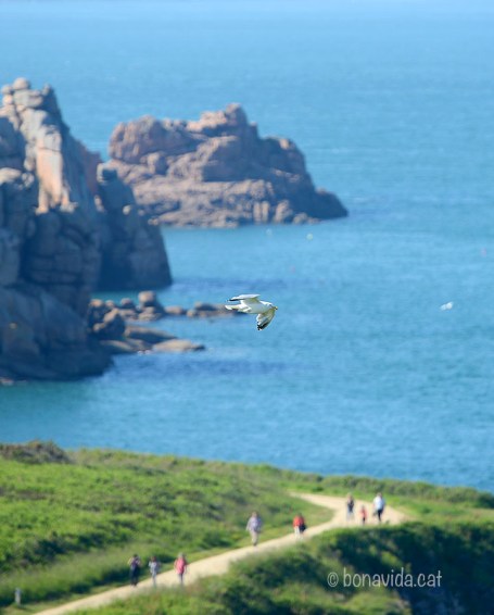 Vistes de les Côtes-d'Armor