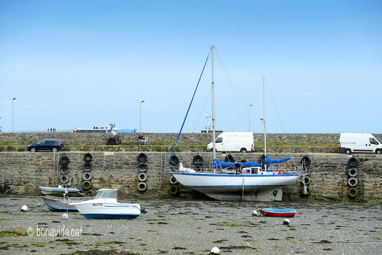 Veure el port sense aigua és, si més no, diferent
