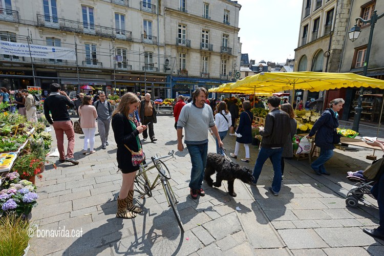 Marché des Lices, Rennes. Bretanya