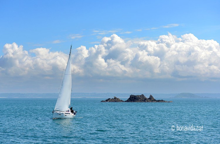 Ahhh! Si poguéssim navegar en veler...