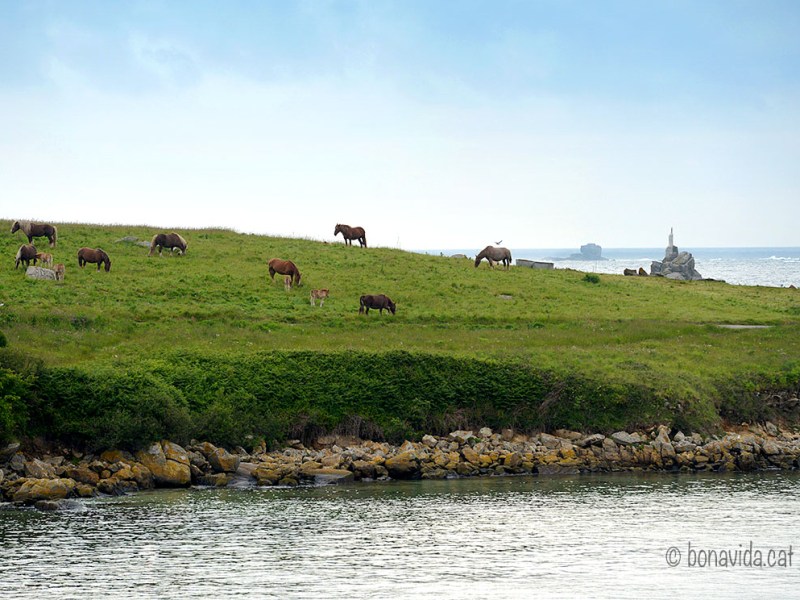RUTA BRETANYA – NORMANDIA. Dia 4. De Roscoff a Le&nbsp;Conquet