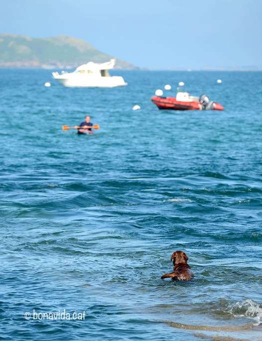Plage de Trestraou. Perros Guirec. Bretanya